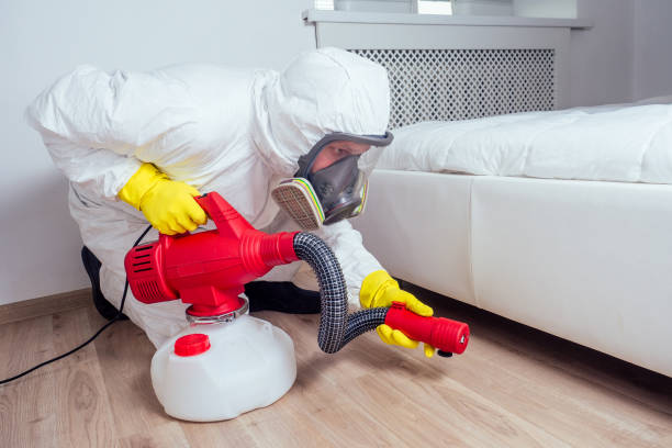 Real Estate Pest Inspections in Walden, NY